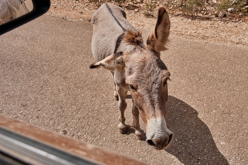 20220907_AB2022-0076_Reisefotografie_Offroad_Sardinien_147