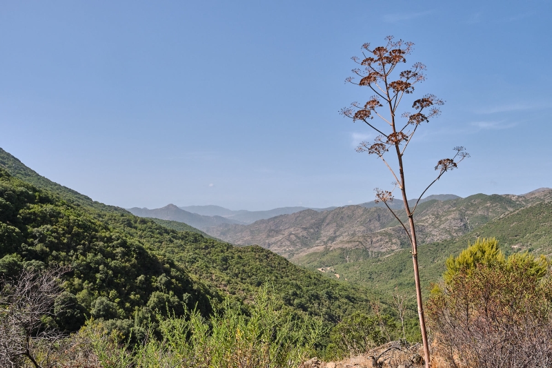 20220908_AB2022-0076_Reisefotografie_Offroad_Sardinien_222